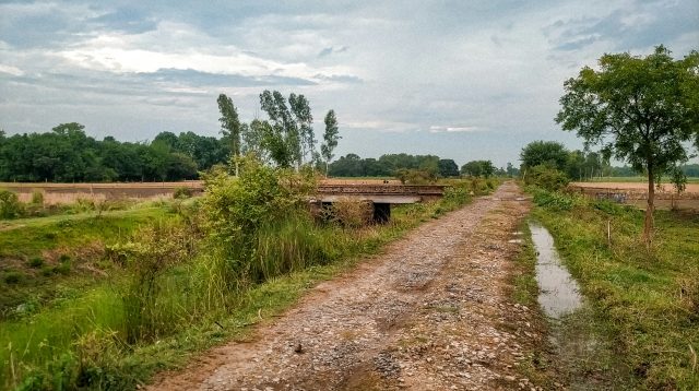 Dana Desa 2026 Turun, Program Padat Karya Terancam