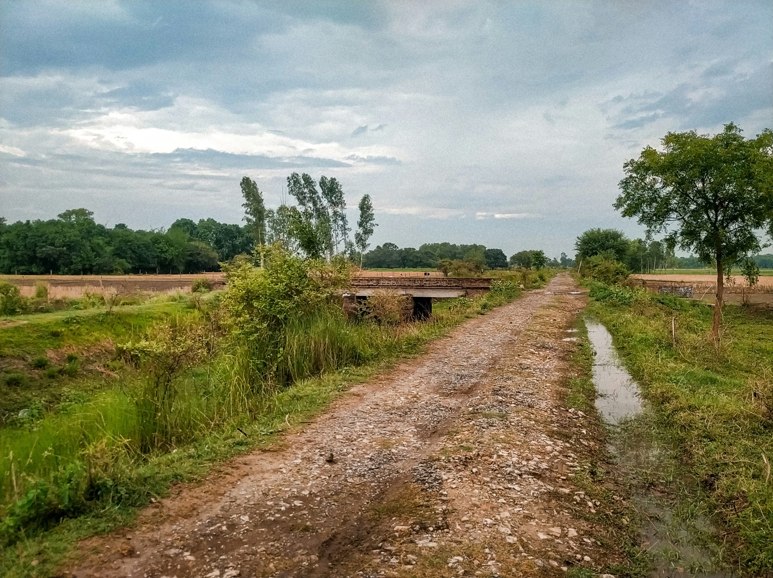 Dana Desa 2026 Turun, Program Padat Karya Terancam